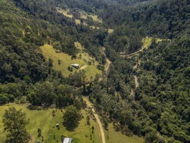 Acreage/Semi-rural For Sale - NSW - Gloucester - 2422 - Private Rainforest Retreat with Creek Access & Off-Grid Potential  (Image 2)