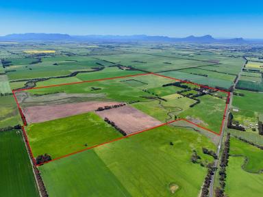 Mixed Farming For Sale - VIC - Moutajup - 3294 - Location - Diversity - Longstanding ownership  (Image 2)