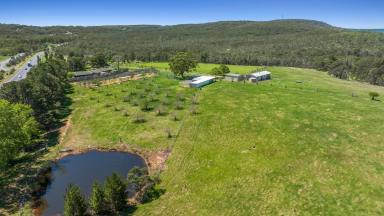 Lifestyle For Sale - NSW - Paddys River - 2577 - Own a Slice of Paradise  (Image 2)