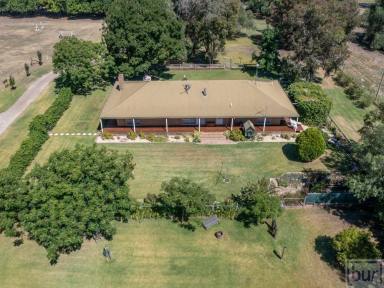 Lifestyle For Sale - NSW - Howlong - 2643 - “De Mammiel Grove”  (Image 2)