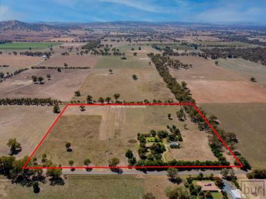 Lifestyle For Sale - NSW - Howlong - 2643 - “De Mammiel Grove”  (Image 2)