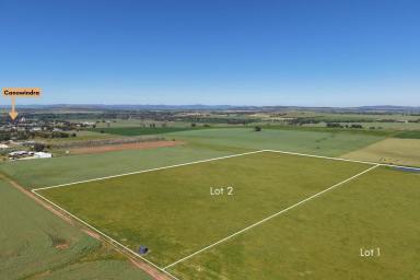 Other (Rural) Auction - NSW - Canowindra - 2804 - LOCATION, SIZE & OPPORTUNITY - 2 X 8.1 Hectare allotments ( 20 acres each )  (Image 2)