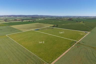 Other (Rural) Auction - NSW - Canowindra - 2804 - LOCATION, SIZE & OPPORTUNITY - 2 X 8.1 Hectare allotments ( 20 acres each )  (Image 2)
