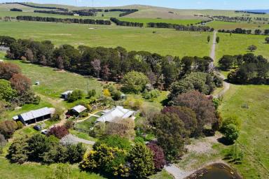 Mixed Farming For Sale - NSW - Tarago - 2580 - Torokina - Outstanding Cattle Enterprise with 1,046 acres  (Image 2)