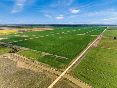 Cropping For Sale - VIC - Capels Crossing - 3579 - Northern Victorian Irrigated Cropping  (Image 2)