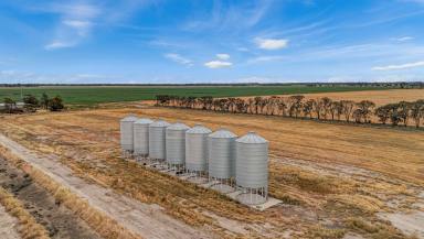 Cropping For Sale - VIC - Capels Crossing - 3579 - Northern Victorian Irrigated Cropping  (Image 2)