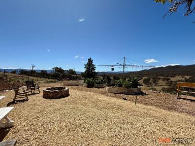 Lifestyle For Sale - NSW - Chakola - 2630 - Idyllic Rural Retreat  (Image 2)