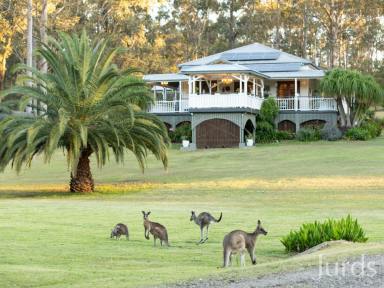 Lifestyle Sold - NSW - North Rothbury - 2335 - The Farmhouse - Hunter Valley Wine Country  (Image 2)