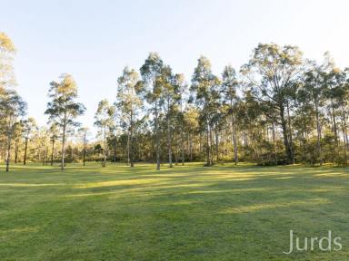 Lifestyle For Sale - NSW - North Rothbury - 2335 - The Farmhouse - Hunter Valley Wine Country  (Image 2)