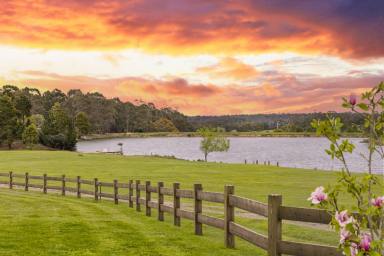 House For Sale - VIC - Wattle Flat - 3352 - "Banyandah Homestead" – An Exceptional Country Estate of Natural Beauty & Refined Elegance  (Image 2)