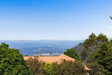 Residential Block For Sale - QLD - Mount Lofty - 4350 - Rare Opportunity- Vacant Mount Lofty Block with Views  (Image 2)
