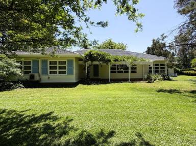 House For Sale - NSW - Moree - 2400 - Landmark Greenbah Residence on Expansive Block  (Image 2)