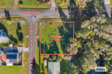 Residential Block For Sale - VIC - Halls Gap - 3381 - Breathtaking Grampians Views – Prime 1177m² Corner Allotment with Development Potential  (Image 2)