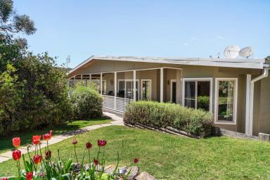 Lifestyle For Sale - NSW - Mudgee - 2850 - PEACEFUL RURAL LIVING WITH SWEEPING VIEWS  (Image 2)