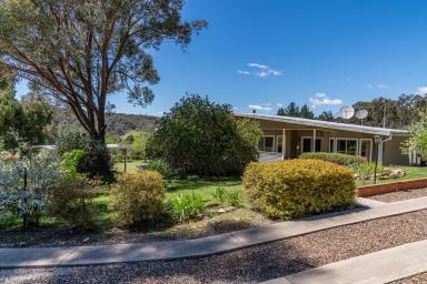 Lifestyle For Sale - NSW - Mudgee - 2850 - PEACEFUL RURAL LIVING WITH SWEEPING VIEWS  (Image 2)