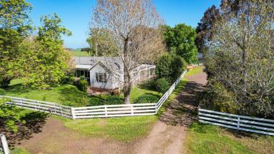 Livestock For Sale - VIC - Framlingham - 3265 - MULTI PURPOSE – SHEEP – CATTLE – DAIRYING – YOUR CHOICE?  (Image 2)