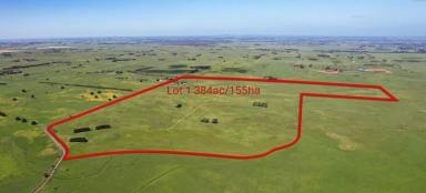 Livestock For Sale - VIC - Framlingham - 3265 - AFFORDABLE GRAZING -REALISTIC PRICE EXPECTATIONS - OFFERED IN 2 SEPARATE LOTS. (Image 2)
