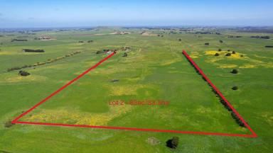 Livestock For Sale - VIC - Framlingham - 3265 - AFFORDABLE GRAZING -REALISTIC PRICE EXPECTATIONS - OFFERED IN 2 SEPARATE LOTS. (Image 2)