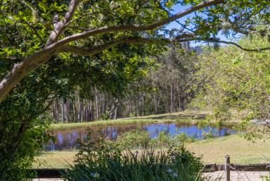 Lifestyle For Sale - NSW - Dungog - 2420 - Secluded Paradise with Breathtaking Views  (Image 2)