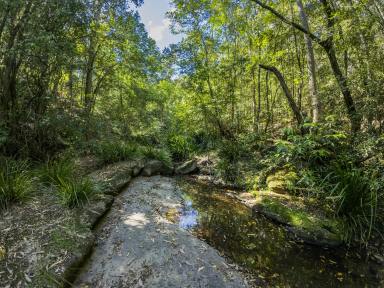 Lifestyle For Sale - NSW - Dungog - 2420 - Secluded Paradise with Breathtaking Views (Image 2)