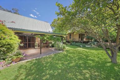 Lifestyle Auction - NSW - Dungog - 2420 - Secluded Paradise with Breathtaking Views (Image 2)