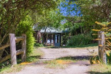 Lifestyle For Sale - NSW - Dungog - 2420 - Secluded Paradise with Breathtaking Views  (Image 2)