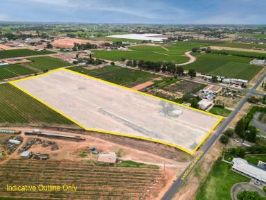 House Auction - VIC - Nichols Point - 3501 - Perfect Location on 4.5Ha (Image 2)