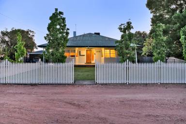House For Sale - VIC - Mildura - 3500 - Charming Family Home on a Generous 1537m² Allotment  (Image 2)