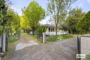 House For Sale - VIC - Warrak - 3377 - 'Motivated Vendor'  5 Acre Private Oasis  (Image 2)