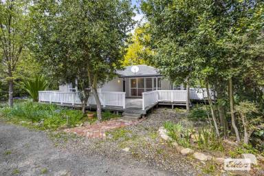 House For Sale - VIC - Warrak - 3377 - Quintessential Country Farmhouse - 5 Acre Private Oasis  (Image 2)