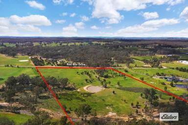 Residential Block For Sale - VIC - Axe Creek - 3551 - CREATE YOUR NEW LIFESTYLE IN BEAUTIFUL AXE CREEK  (Image 2)