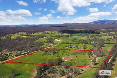 Residential Block For Sale - VIC - Axe Creek - 3551 - CREATE YOUR NEW LIFESTYLE IN BEAUTIFUL AXE CREEK  (Image 2)