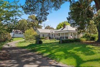 Mixed Farming Auction - NSW - Binda - 2583 - 'Station Hill' - Productive and Picturesque  (Image 2)