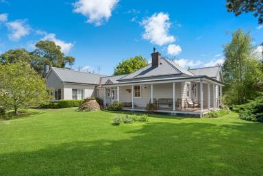 Mixed Farming Auction - NSW - Binda - 2583 - 'Station Hill' - Productive and Picturesque  (Image 2)