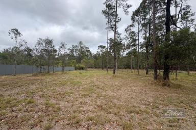 Residential Block For Sale - QLD - Glenwood - 4570 - A BLANK CANVAS FOR YOUR COUNTRY DREAM  (Image 2)