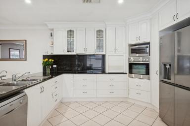 House For Sale - NSW - Mudgee - 2850 - SOUTH MUDGEE FAMILY GEM  (Image 2)