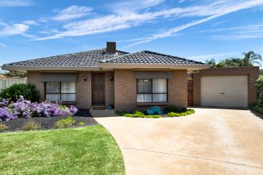 House For Sale - VIC - Mildura - 3500 - Be swimming by Christmas!  (Image 2)
