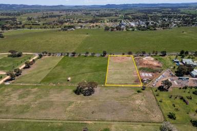 Residential Block For Sale - NSW - Gulgong - 2852 - CREATE YOUR COUNTRY DREAM ON THE EDGE OF GULGONG  (Image 2)