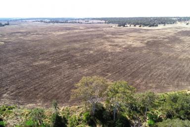 Mixed Farming For Sale - QLD - Haly Creek - 4610 - "Top Block"
Kumbia District Versatile and Productive Irrigation & Grazing Country!  (Image 2)