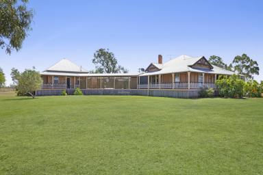 Mixed Farming For Sale - QLD - Cambooya - 4358 - "Rossmore"
109 Acres with Dual Classic Homesteads Living & 33 Meg. Water Licence, 15 minutes from Toowoomba's CBD! (Image 2)
