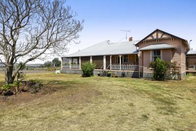 Mixed Farming For Sale - QLD - Cambooya - 4358 - "Rossmore"
109 Acres with Dual Classic Homesteads Living & 33 Meg. Water Licence, 15 minutes from Toowoomba's CBD!  (Image 2)