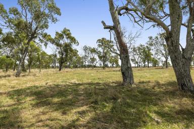 Other (Rural) Auction - QLD - Vale View - 4352 - 74 Acres of Prime Position Blue Chip Lifestyle and Grazing Land a few minutes to Toowoomba!  (Image 2)