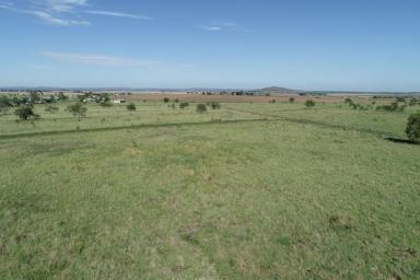 Other (Rural) Sold - QLD - Vale View - 4352 - 74 Acres of Prime Position Blue Chip Lifestyle and Grazing Land a few minutes to Toowoomba! (Image 2)