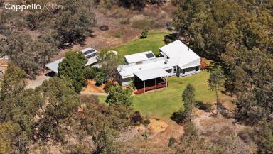 House For Sale - NSW - Hillston - 2675 - " Bouyaree " Contemporary Acreage Offering Riverfront Privacy (Image 2)
