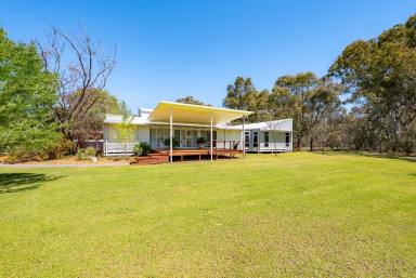 House For Sale - NSW - Hillston - 2675 - " Bouyaree " Contemporary Acreage Offering Riverfront Privacy  (Image 2)