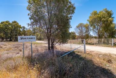 House For Sale - NSW - Hillston - 2675 - " Bouyaree " Contemporary Acreage Offering Riverfront Privacy  (Image 2)