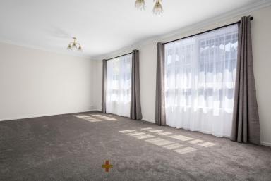 Unit Leased - VIC - Parkdale - 3195 - BRIGHT & SUNNY | LOW MAINTENANCE | IDEAL LOCATION  (Image 2)