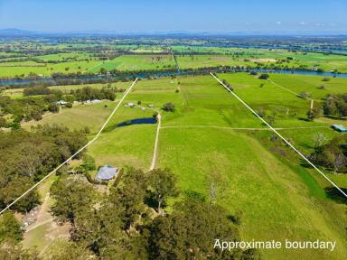 Acreage/Semi-rural Sold - NSW - Mitchells Island - 2430 - SPECTACULAR RIVERFRONT ACREAGE WITH SWEEPING VALLEY VIEWS  (Image 2)