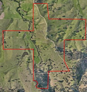Livestock For Sale - NSW - Wolumla - 2550 - 300 ACRES, IRRIGATION, 2 HOUSES, PICTURESQUE SOUTH WOLUMLA  (Image 2)