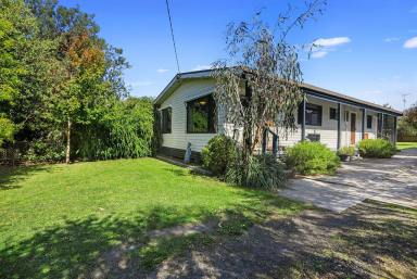 House For Sale - VIC - Apollo Bay - 3233 - COASTAL OPPORTUNITY IN THE HEART OF APOLLO BAY  (Image 2)